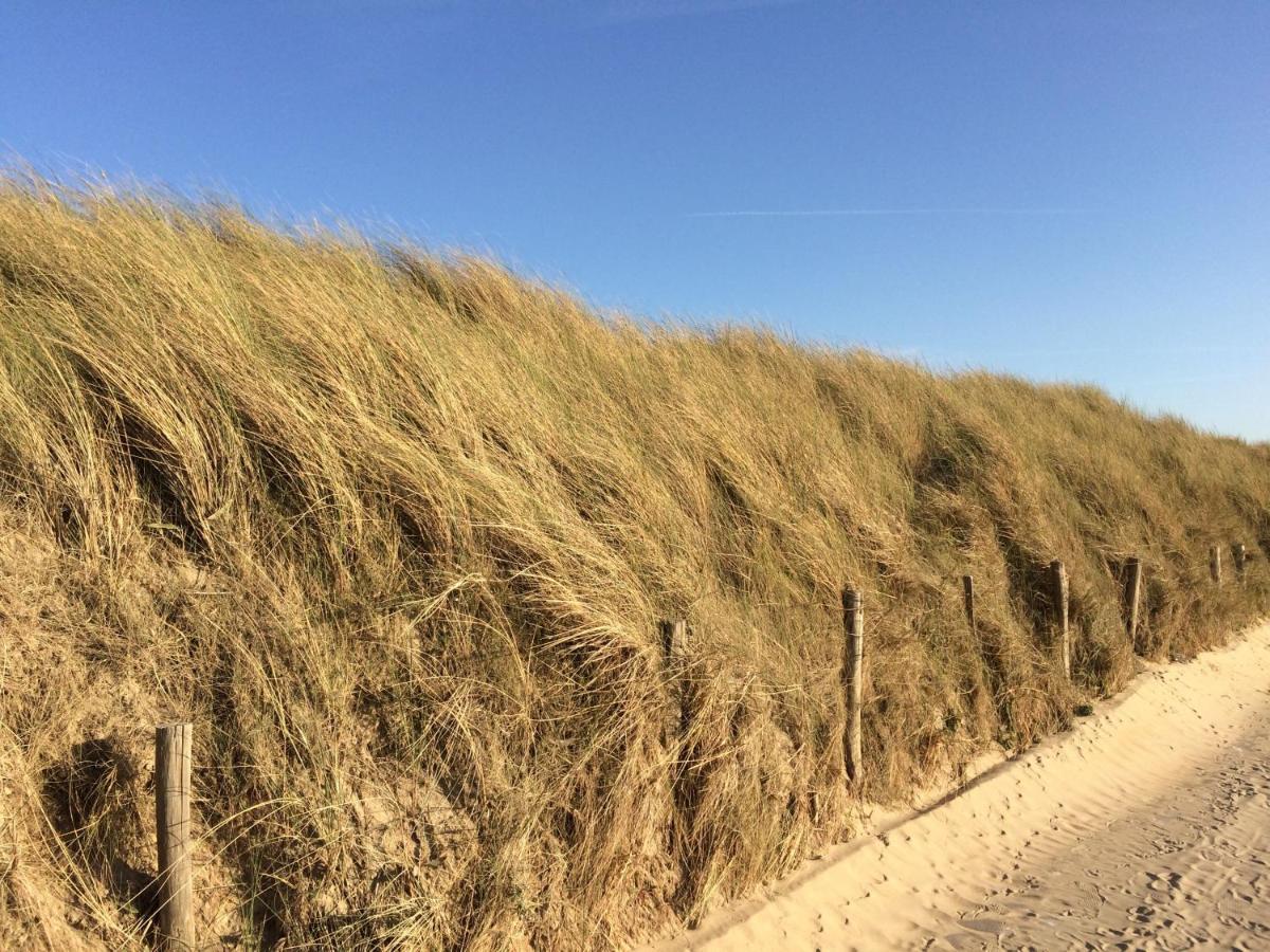 Gezinsappartement - La Plage - Wenduine Zeedijk Exteriör bild